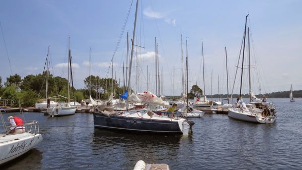 La solitaire – photo 12