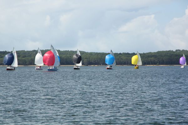 National 590 – photo 90