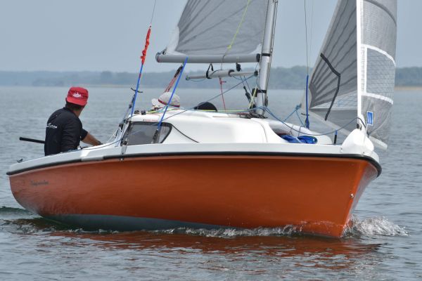 National 590 – photo 21