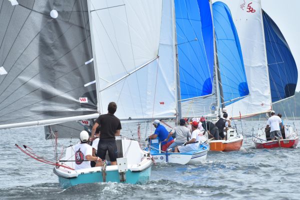 National 590 – photo 46