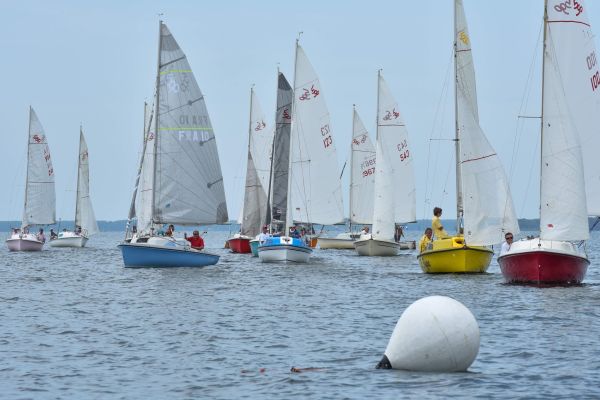 National 590 – photo 63