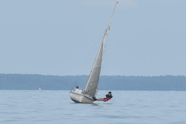 National 590 – photo 67