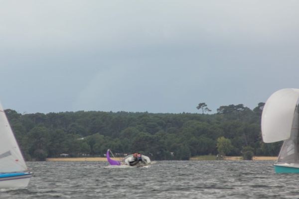 National 590 – photo 86