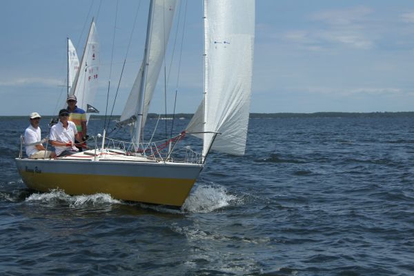 Coupe leclerc – photo 3