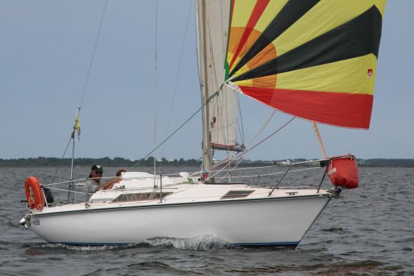 Coupe leclerc – photo 89