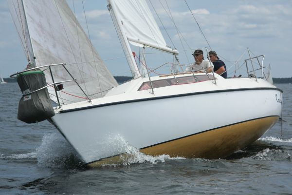 Coupe leclerc – photo 25