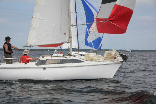 Coupe leclerc – photo 101