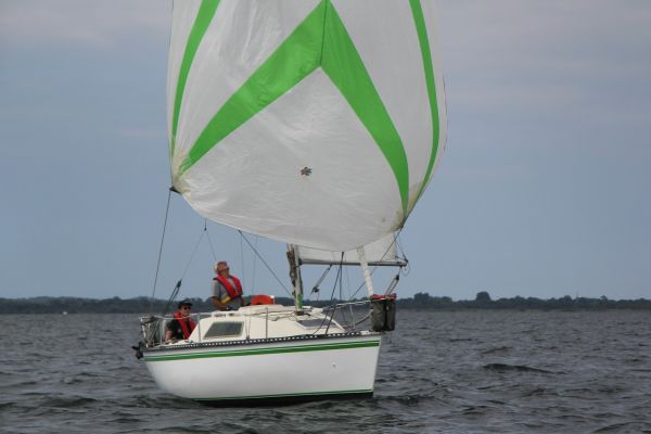 Coupe leclerc – photo 92