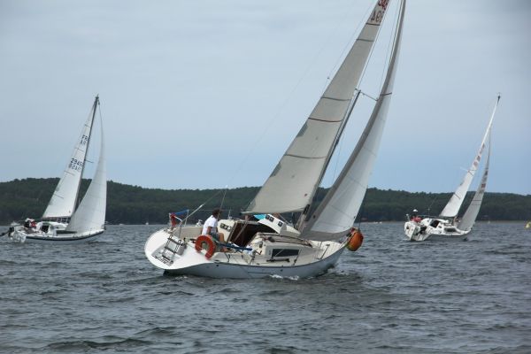 Coupe leclerc – photo 37