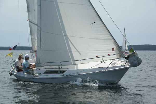 Coupe leclerc – photo 7