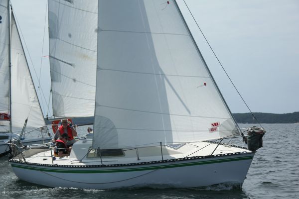 Coupe leclerc – photo 6