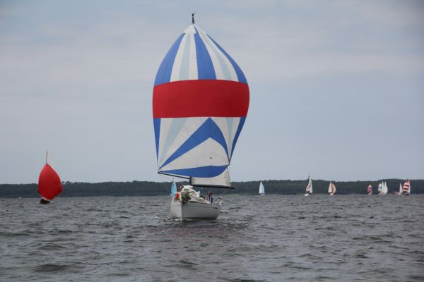 Coupe leclerc – photo 87