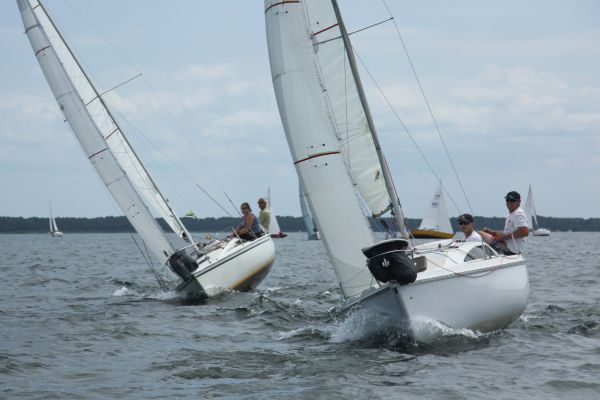 Coupe leclerc – photo 15