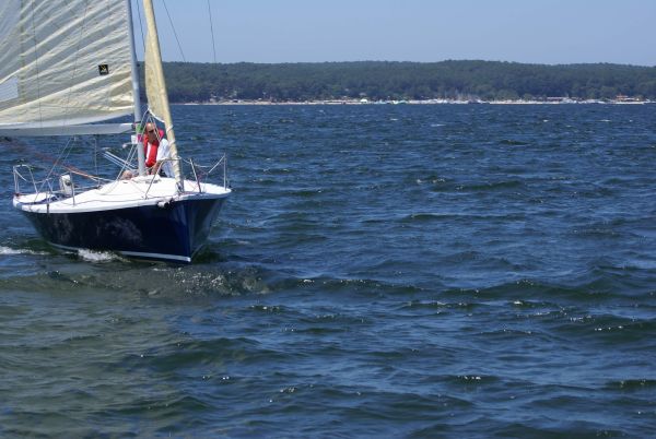 La solitaire – photo 37
