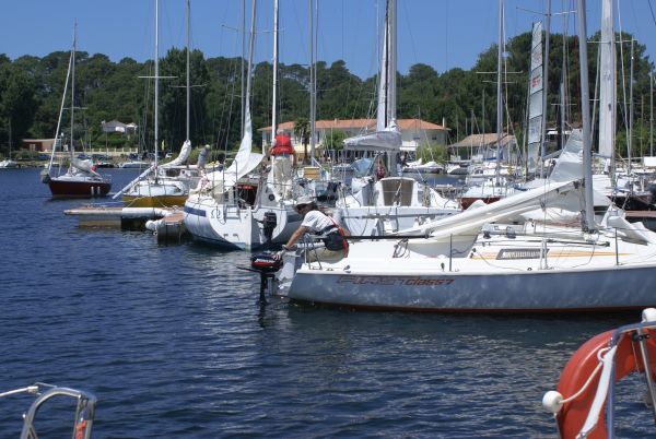 La solitaire – photo 4