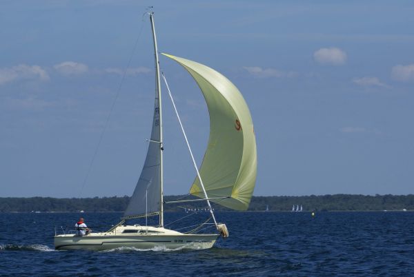 La solitaire – photo 122