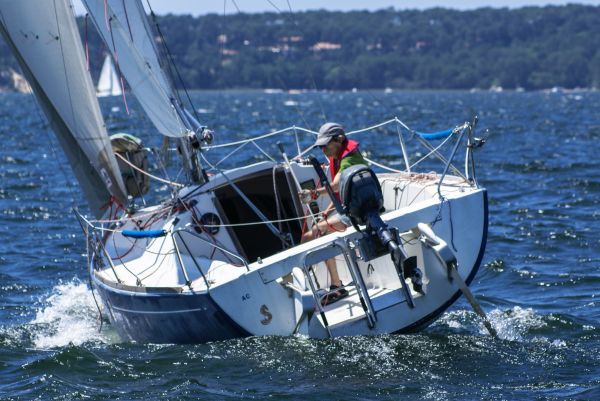 La solitaire – photo 104