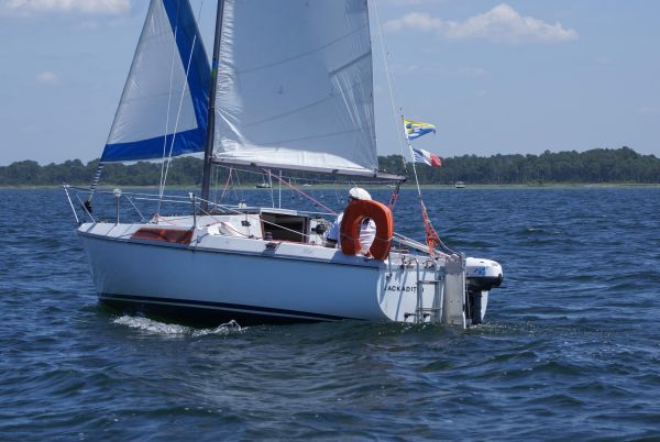 La solitaire – photo 21
