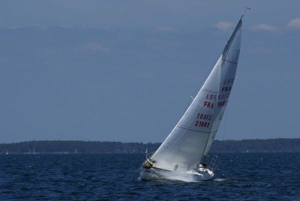 La solitaire – photo 110