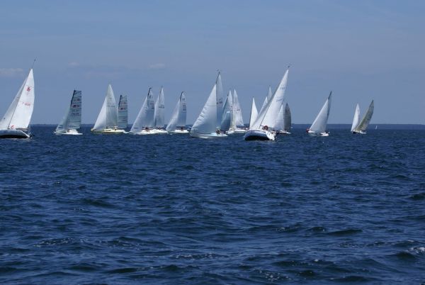 La solitaire – photo 42