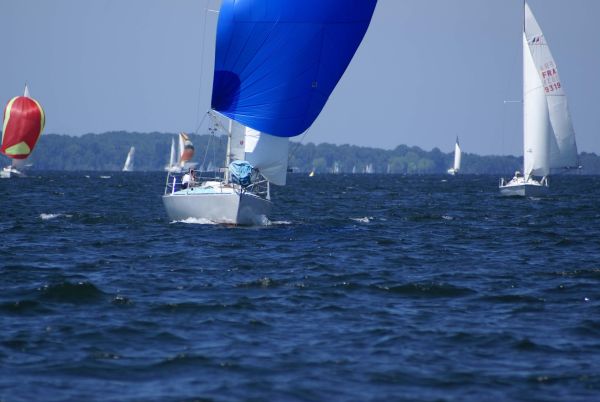 La solitaire – photo 125