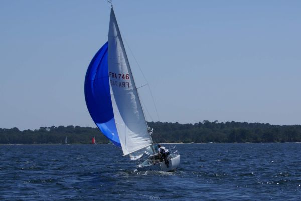 La solitaire – photo 128