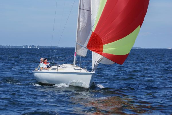 La solitaire – photo 131