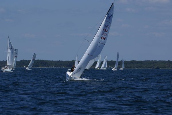 La solitaire – photo 78
