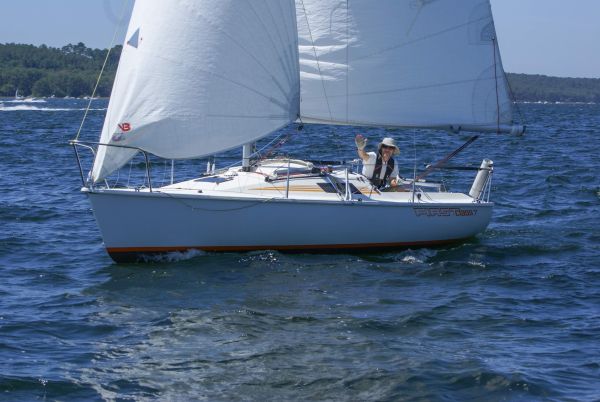 La solitaire – photo 129