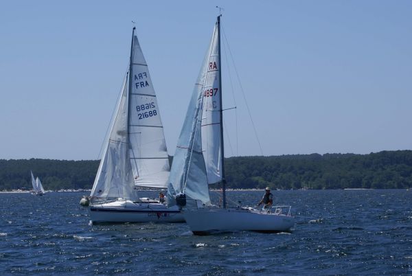 La solitaire – photo 69