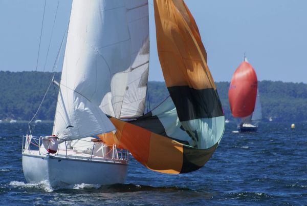 La solitaire – photo 67