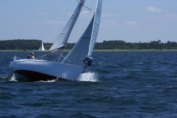 La solitaire – photo 97