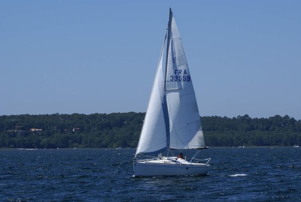 La solitaire – photo 68
