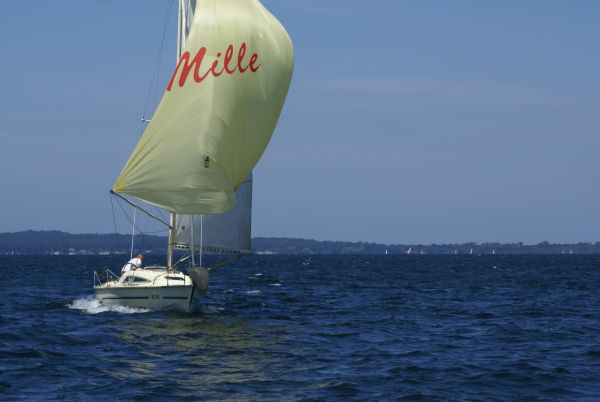 La solitaire – photo 49