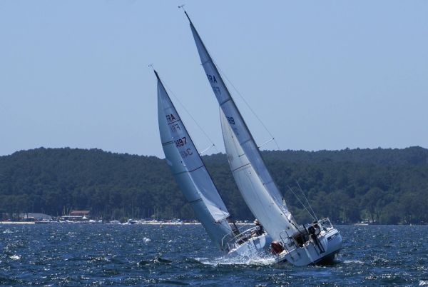 La solitaire – photo 101