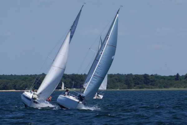 La solitaire – photo 96