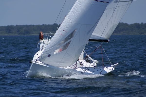 La solitaire – photo 79