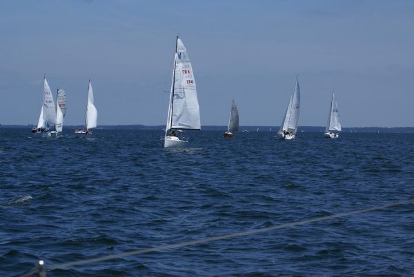 La solitaire – photo 27