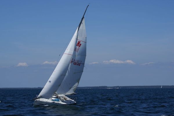 La solitaire – photo 112