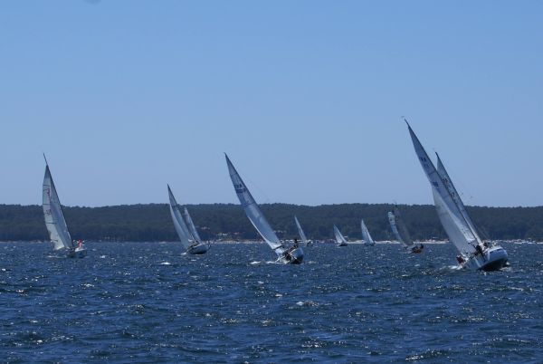 La solitaire – photo 100