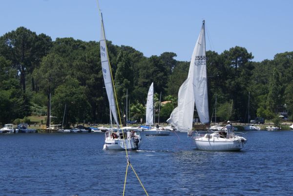 La solitaire – photo 12