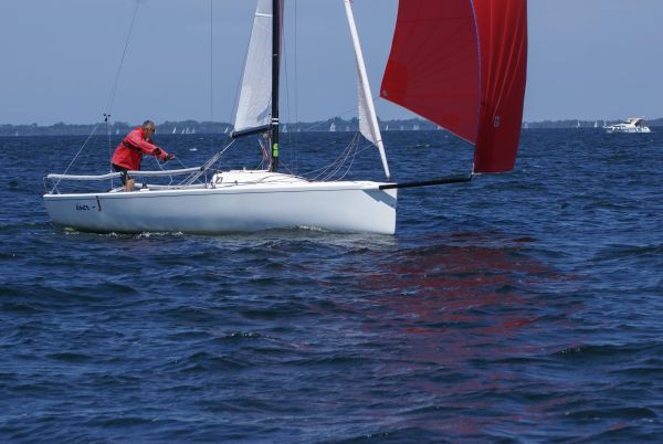 La solitaire – photo 48