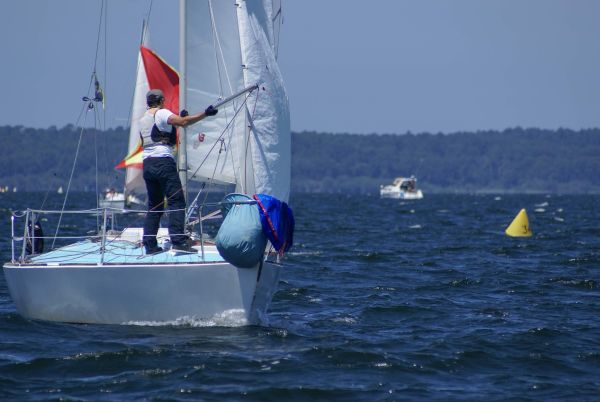 La solitaire – photo 61