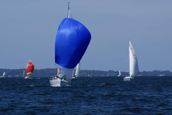 La solitaire – photo 124