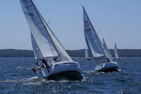 La solitaire – photo 99