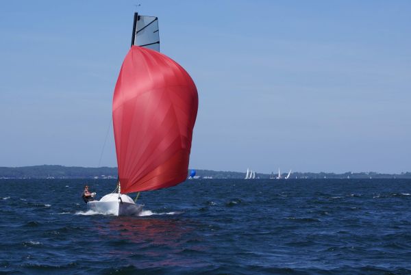 La solitaire – photo 118