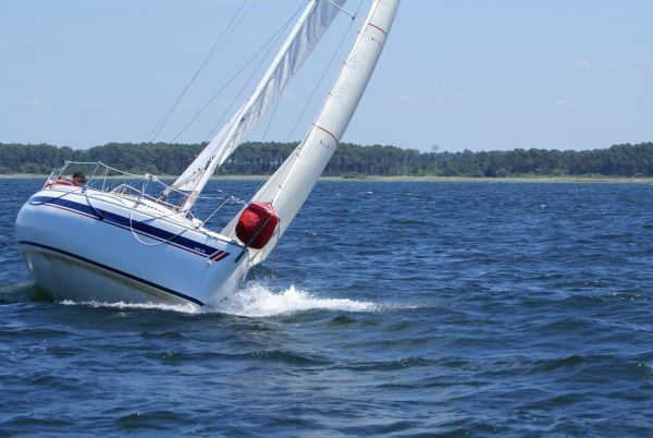 La solitaire – photo 92
