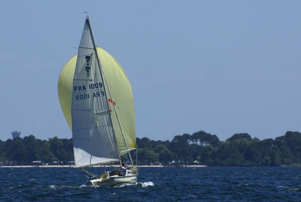 La solitaire – photo 123