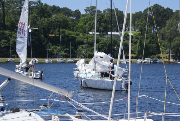 La solitaire – photo 7