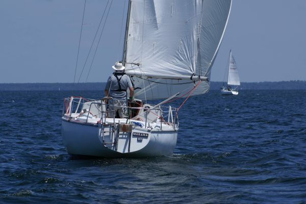 La solitaire – photo 26